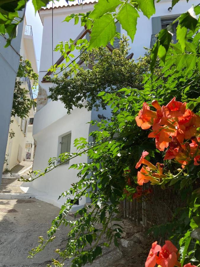 Raphael Skiathos Living-Olga Kültér fotó