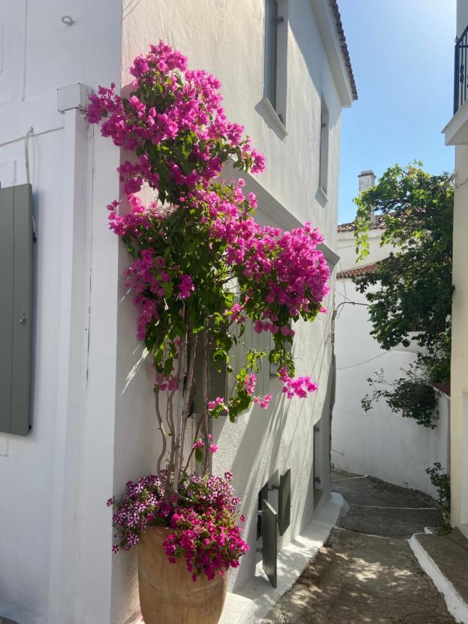 Raphael Skiathos Living-Olga Kültér fotó