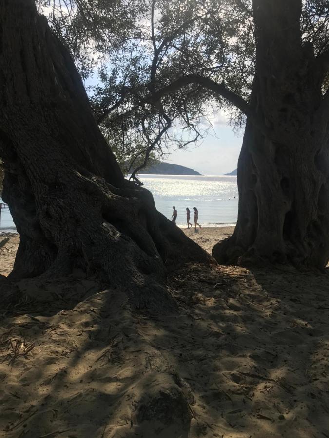 Raphael Skiathos Living-Olga Kültér fotó